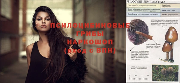 PSILOCYBIN Наволоки