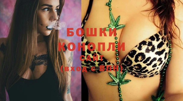 соль ск Михайлов