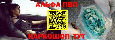 СК Гатчина