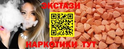 СК Гатчина