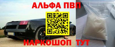 СК Гатчина