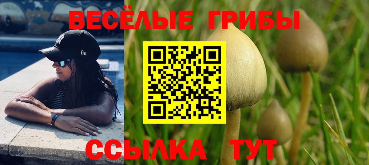 Галлюциногенные грибы Magic Shrooms  Галлюциногенные грибы Psilocybine cubensis  где купить   Стрежевой  Вход с VPN 